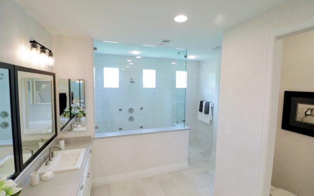 Fashion Glass and Mirror - By Pass Doors