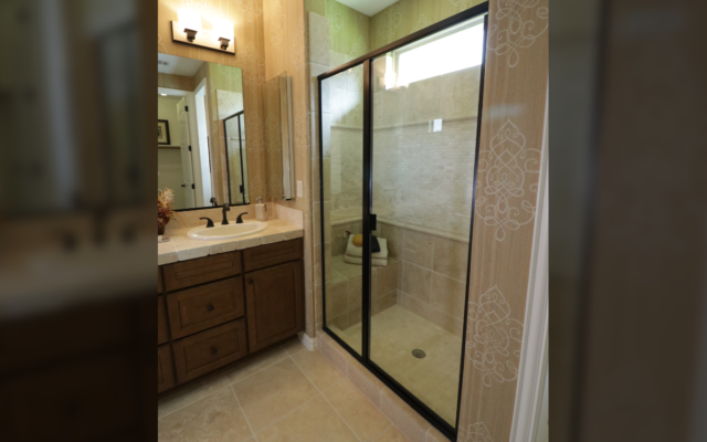 Mirror Shower Doors