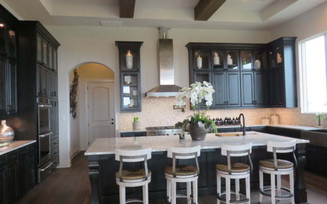 Kitchen Cabinet Door Glass